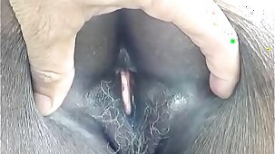culo negro madura